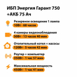 ИБП для котла Энергия Гарант 750 + Аккумулятор 75 Ач 12 В (450Вт - 91мин) - ИБП и АКБ - ИБП для котлов - . Магазин оборудования для автономного и резервного электропитания Ekosolar.ru в Владимире